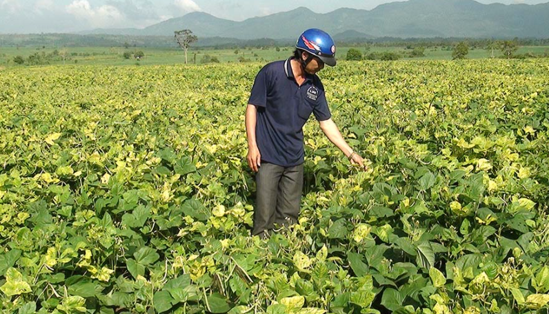 Biện pháp quản lý 